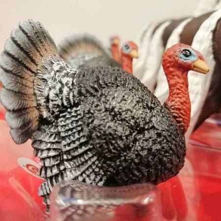 Schleich® Themenwelten und Figuren